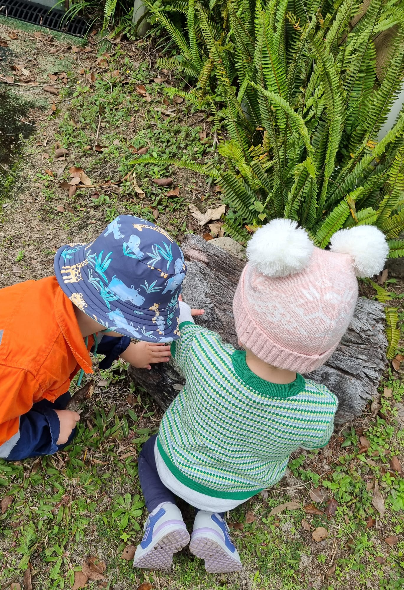 Nature Play