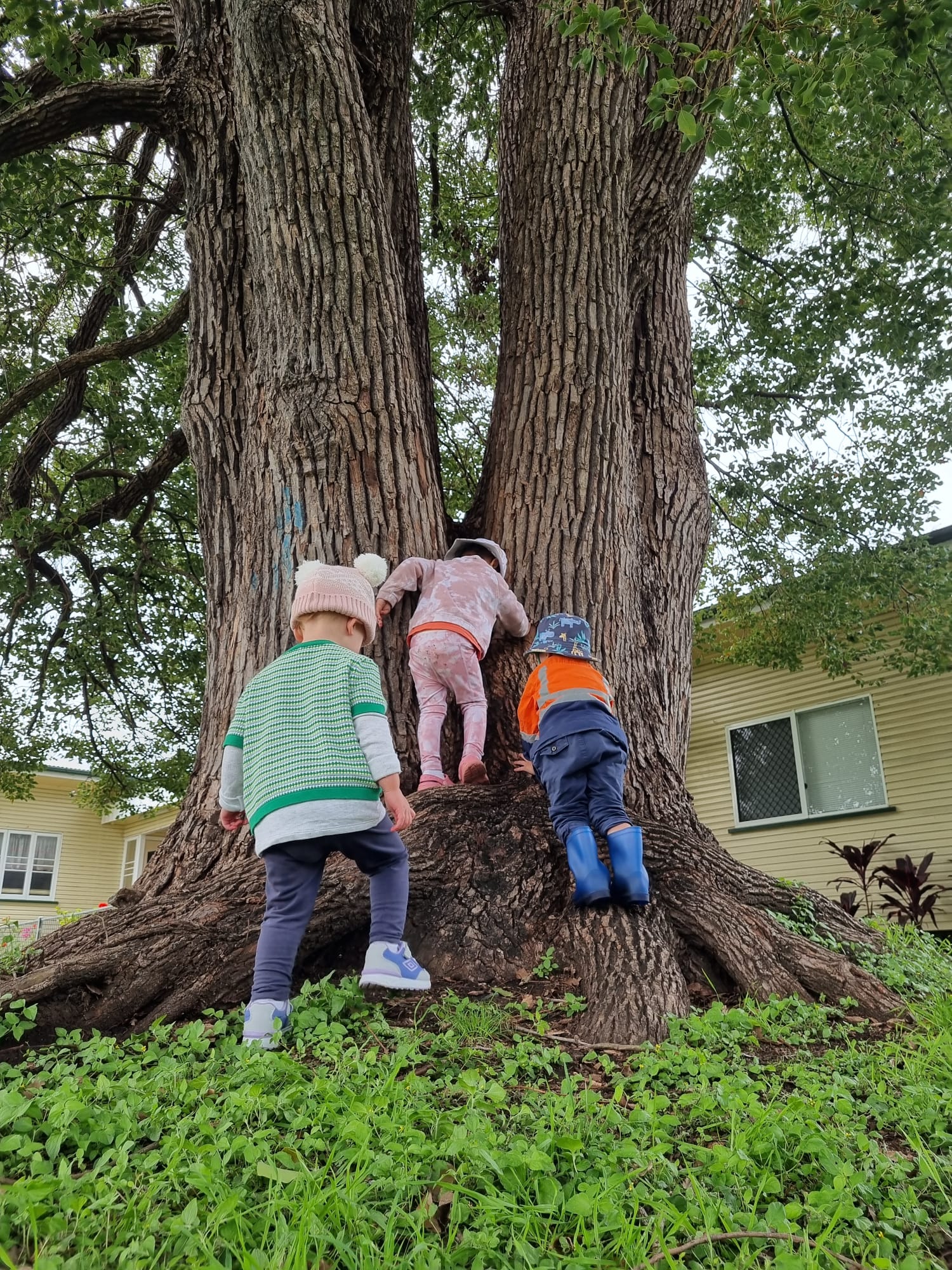 Nature Play